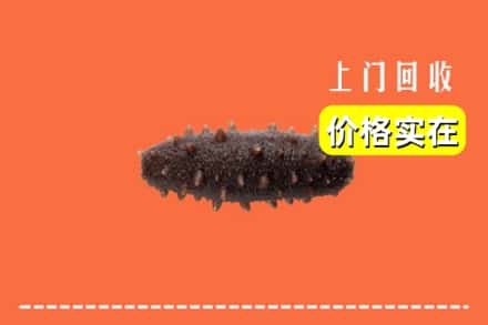 收购资讯:仙居县回收海参